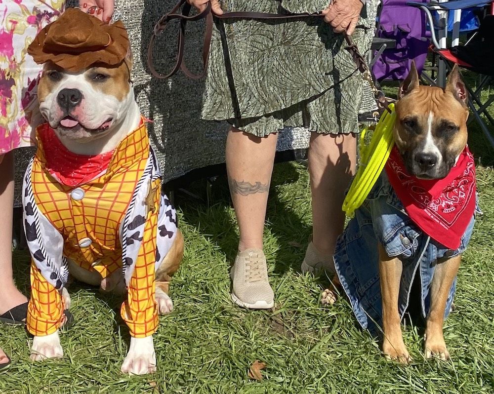 2023 Kennel Club of Riverside